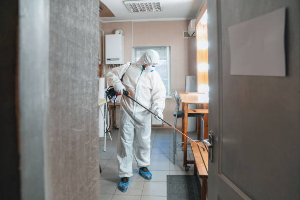 Best Asbestos and Lead Testing During Mold Inspection  in Sidney, MT