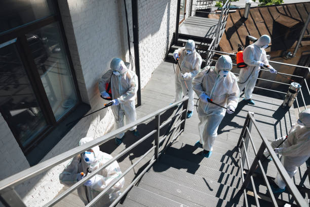 Best Emergency Mold Remediation  in Sidney, MT