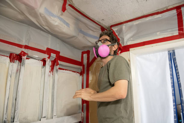 Best Attic Mold Removal  in Sidney, MT