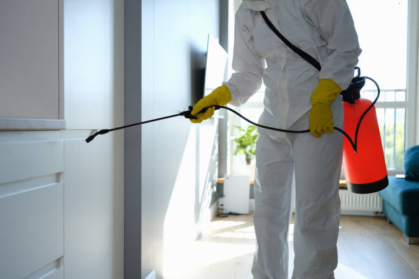Best Mold Odor Removal Services  in Sidney, MT