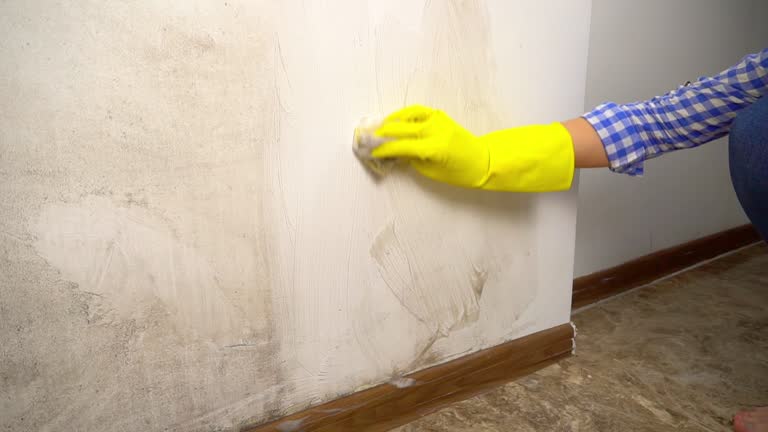 Best HVAC Mold Inspection and Cleaning  in Sidney, MT