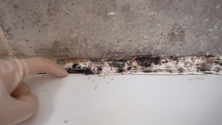 Best Indoor Air Quality Assessment  in Sidney, MT